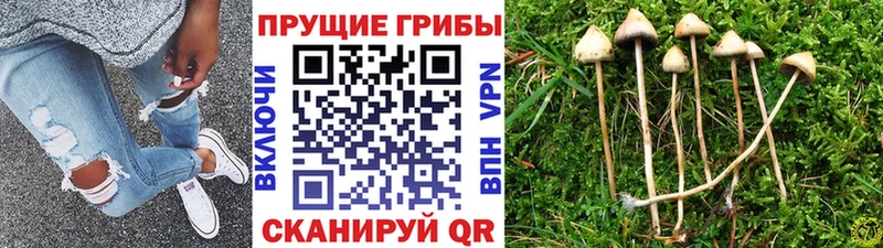 Галлюциногенные грибы мухоморы  OMG сайт  даркнет официальный сайт  Полысаево 
